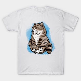 Watercolor angry cat T-Shirt